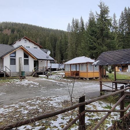 Complex Transalpina Lac Войняса Екстериор снимка