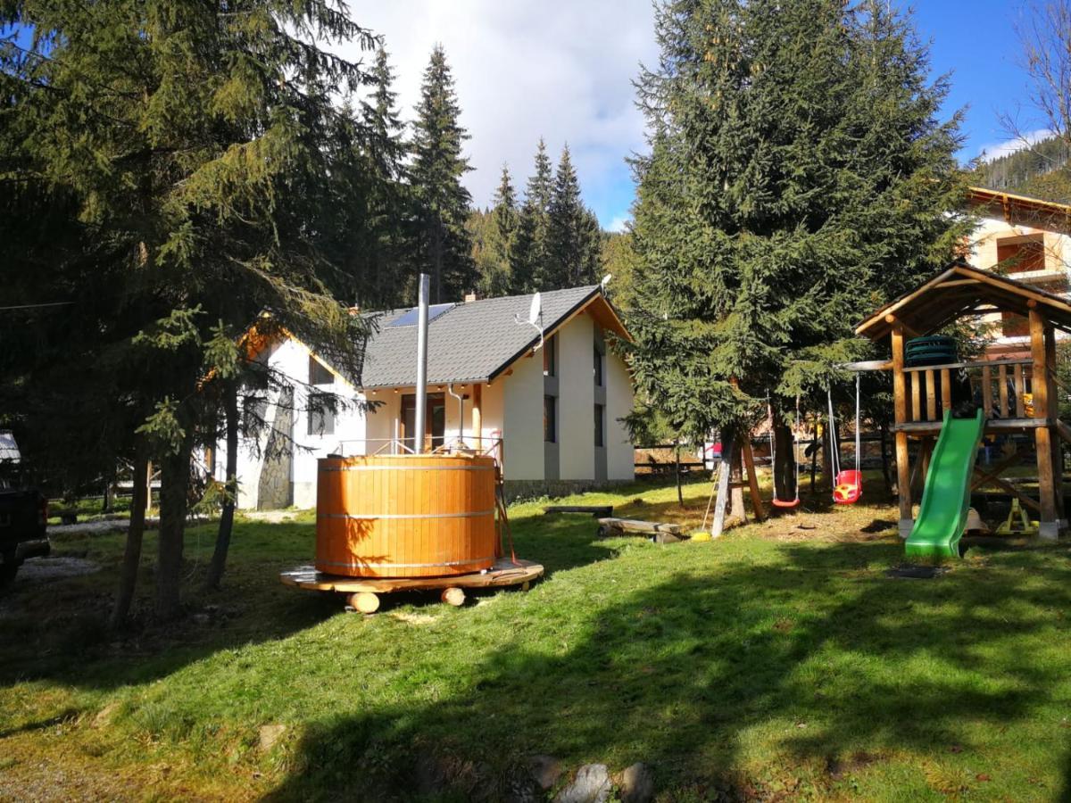 Complex Transalpina Lac Войняса Екстериор снимка
