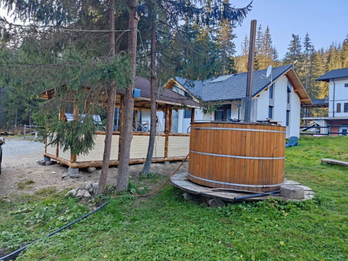 Complex Transalpina Lac Войняса Екстериор снимка