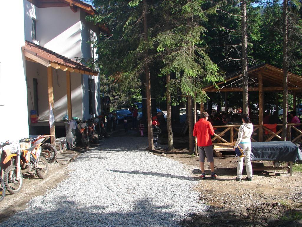 Complex Transalpina Lac Войняса Екстериор снимка