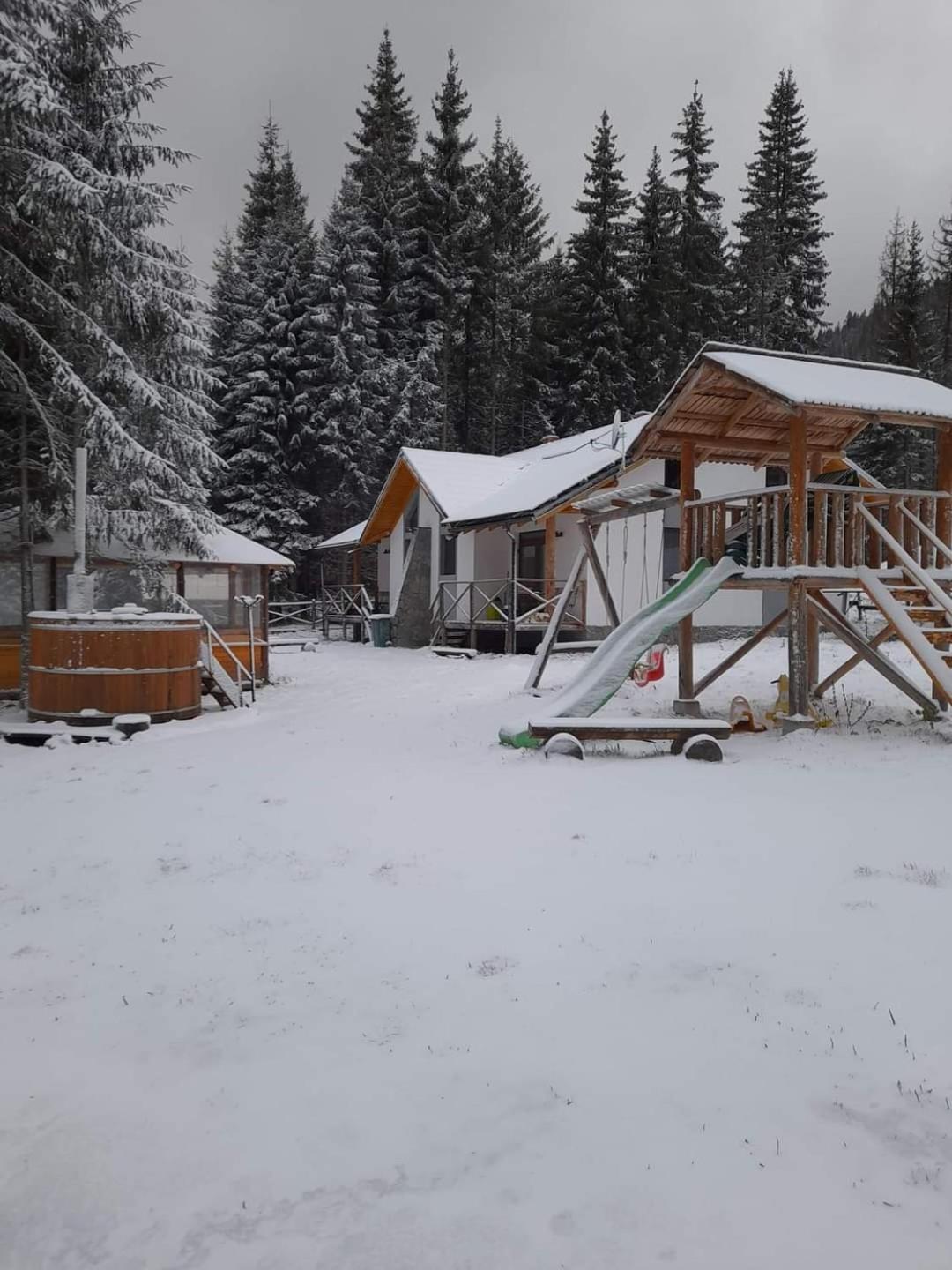 Complex Transalpina Lac Войняса Екстериор снимка