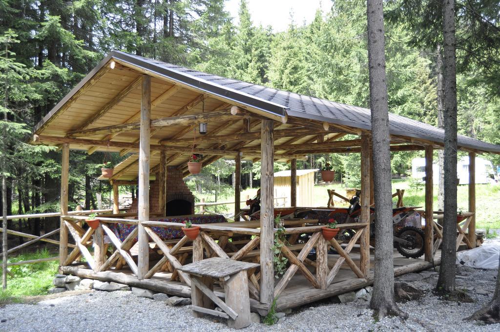 Complex Transalpina Lac Войняса Екстериор снимка