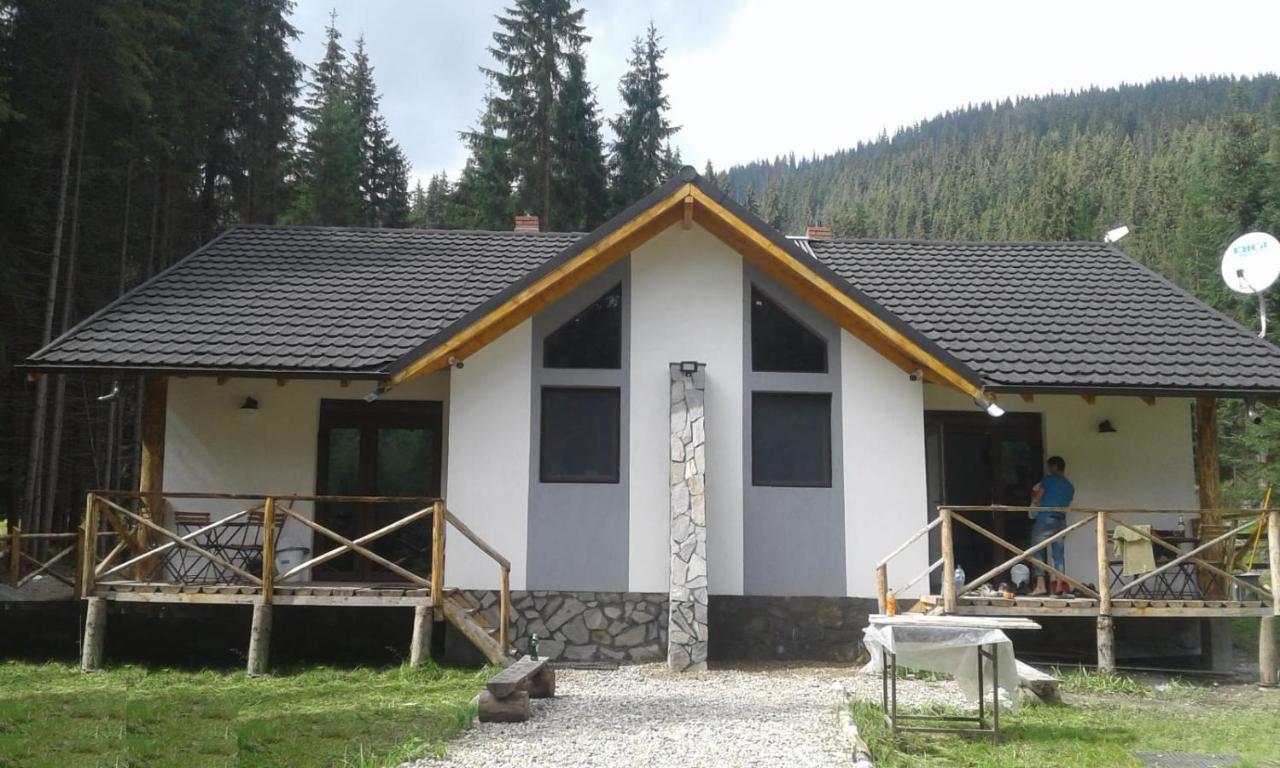 Complex Transalpina Lac Войняса Екстериор снимка