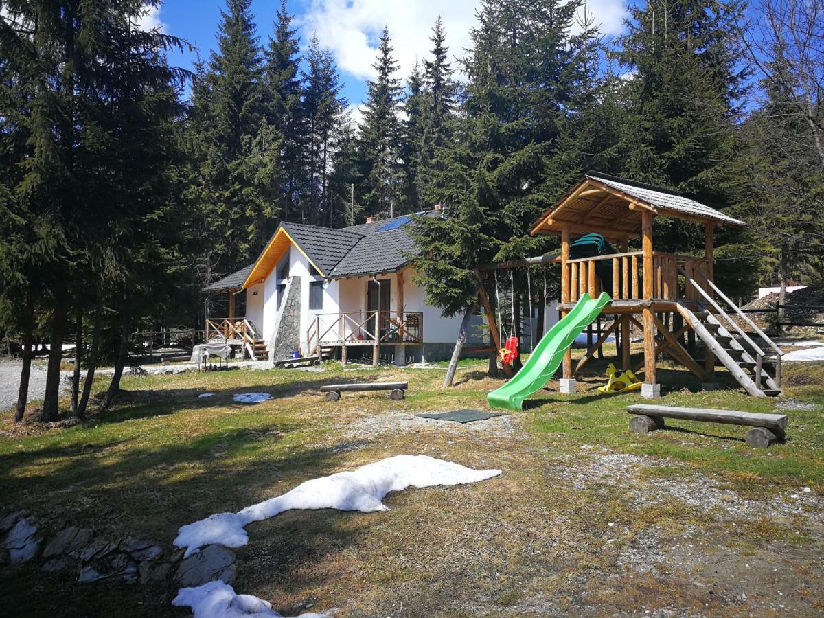 Complex Transalpina Lac Войняса Екстериор снимка